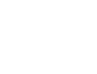 dominext logo